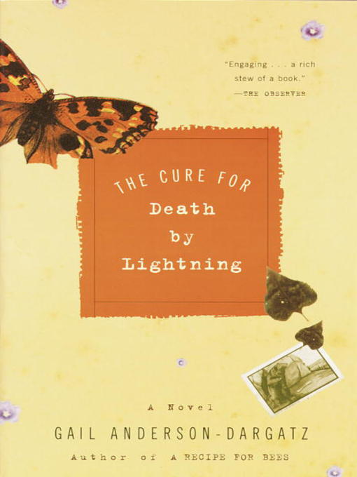 Title details for The Cure for Death by Lightning by Gail Anderson-Dargatz - Available